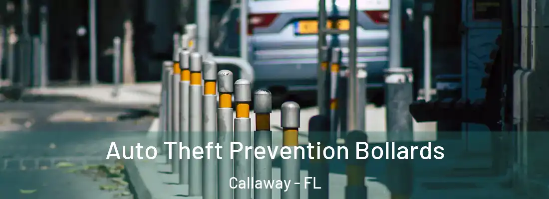  Auto Theft Prevention Bollards Callaway - FL