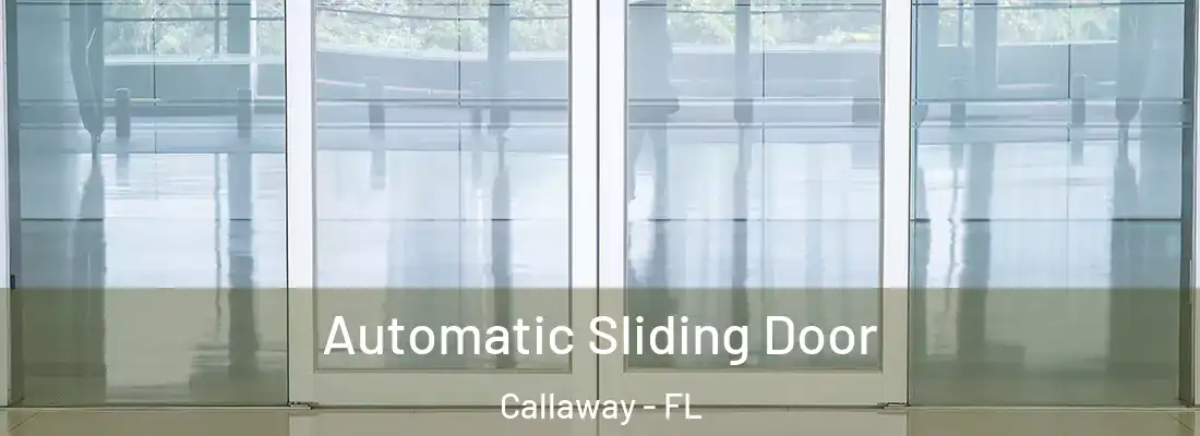  Automatic Sliding Door Callaway - FL