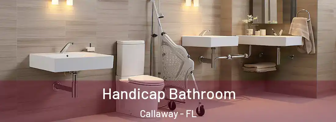  Handicap Bathroom Callaway - FL