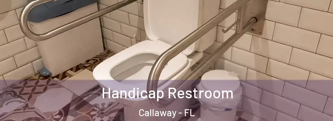  Handicap Restroom Callaway - FL
