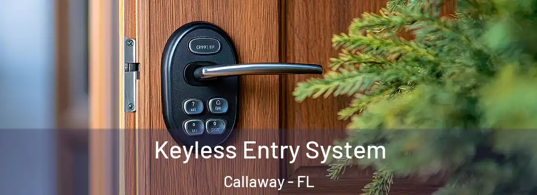  Keyless Entry System Callaway - FL
