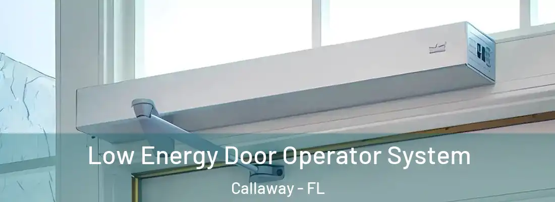  Low Energy Door Operator System Callaway - FL