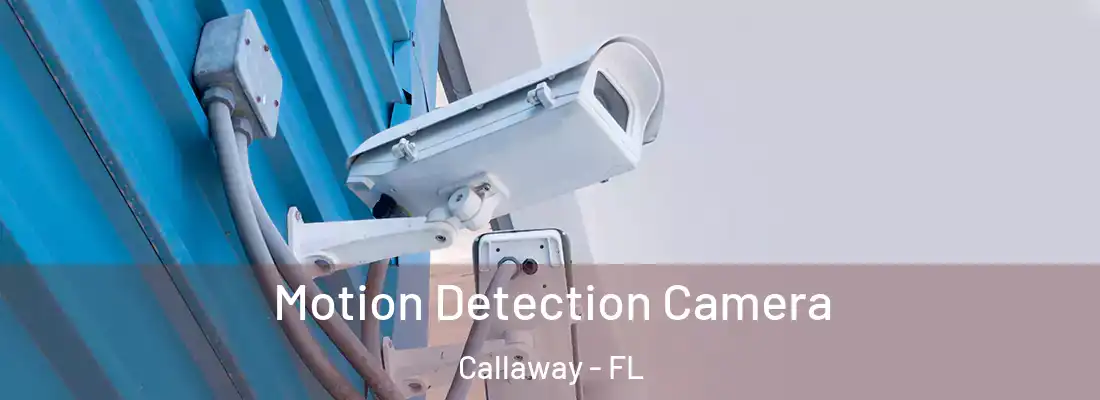  Motion Detection Camera Callaway - FL