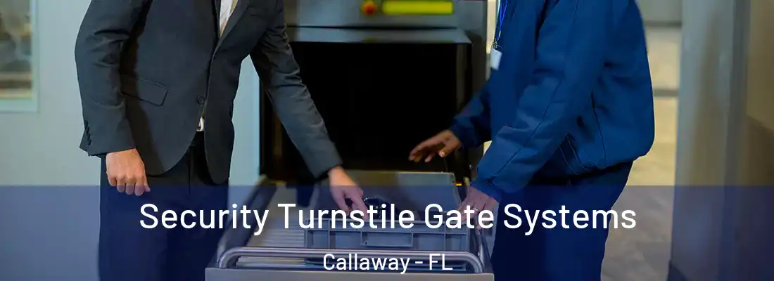  Security Turnstile Gate Systems Callaway - FL